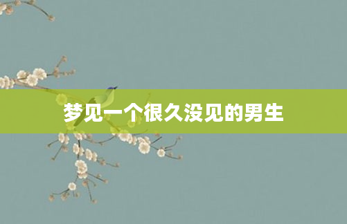 梦见一个很久没见的男生